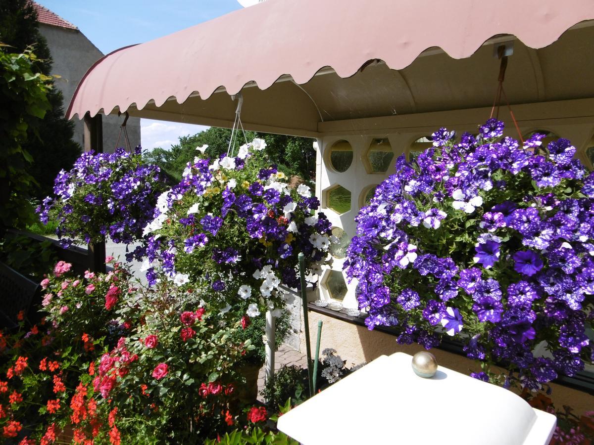 Hotel&Pension Aßmann Hochkirch Esterno foto
